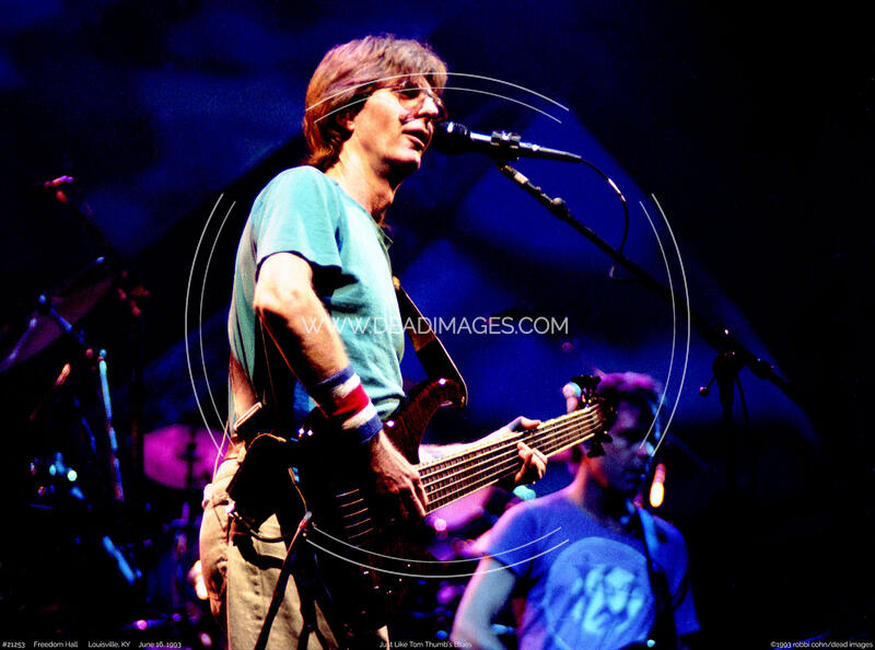 Phil Lesh - June 16, 1993